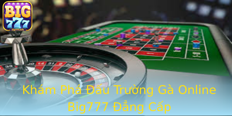 Khám Phá Đấu Trường Gà Online Big777 Đẳng Cấp Khám Phá Đấu Trường Gà Online Big777 Đẳng Cấp