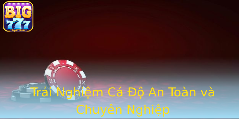 Trải Nghiệm Cá Độ An Toàn và Chuyên Nghiệp Trải Nghiệm Cá Độ An Toàn và Chuyên Nghiệp